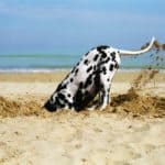 When You Find Yourself In a Debt Hole, Stop Digging